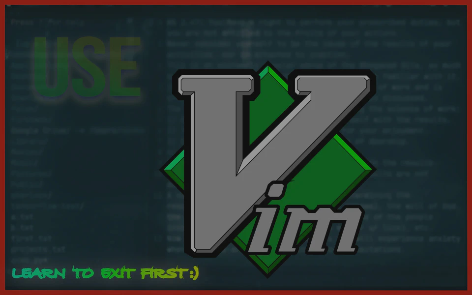 Vim