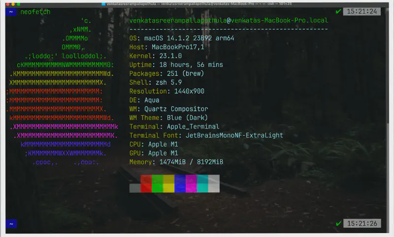 Featured image of post My Zsh
